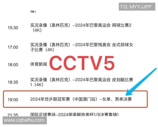 东兴足球明星队员名单揭晓球迷期待新赛季精彩表现与激情对决